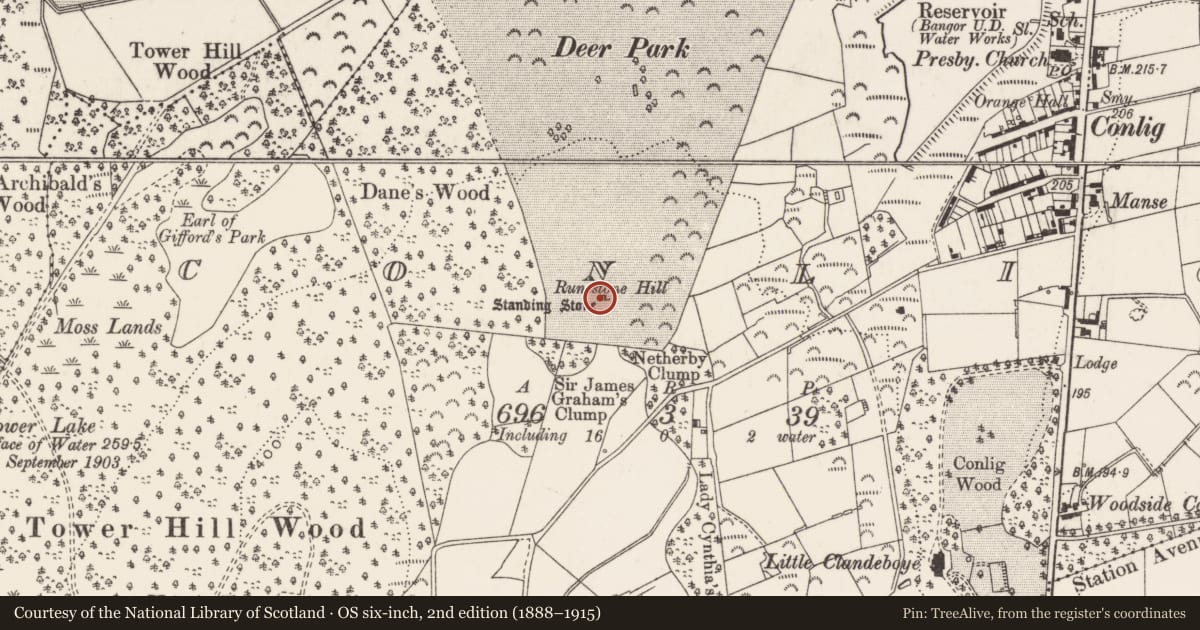 Ordnance Survey six-inch map, 2nd edition (1888–1915) covering the location of Standing Stone, Ards and North Down, with a pin at the register's coordinates