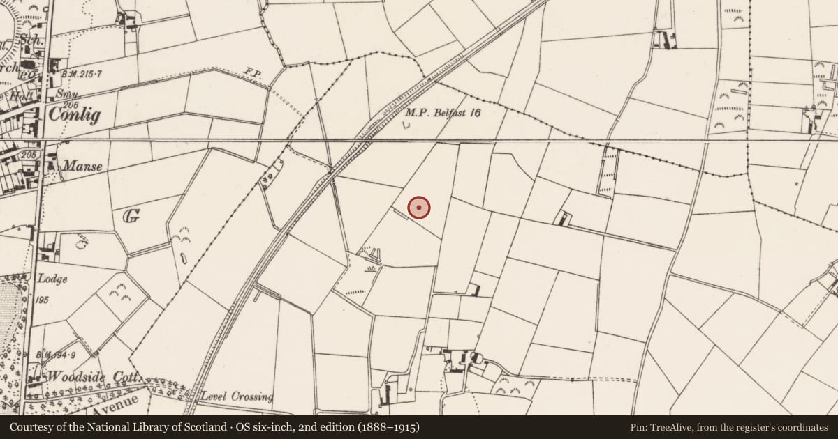 Ordnance Survey six-inch map, 2nd edition (1888–1915) covering the location of Tower View, Ards and North Down, with a pin at the register's coordinates