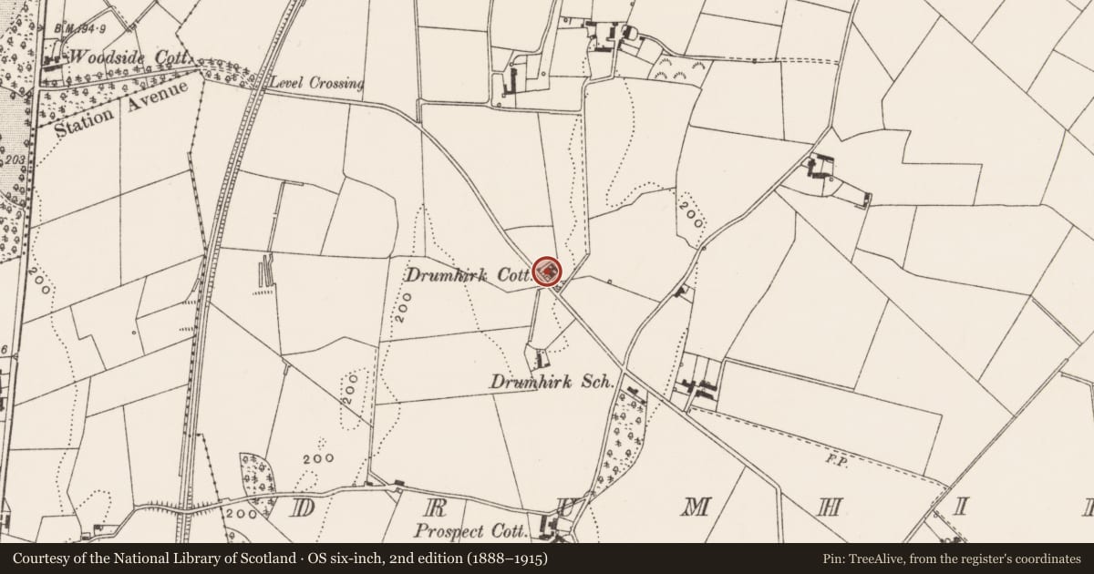 Ordnance Survey six-inch map, 2nd edition (1888–1915) covering the location of Bluestone House, Ards and North Down, with a pin at the register's coordinates