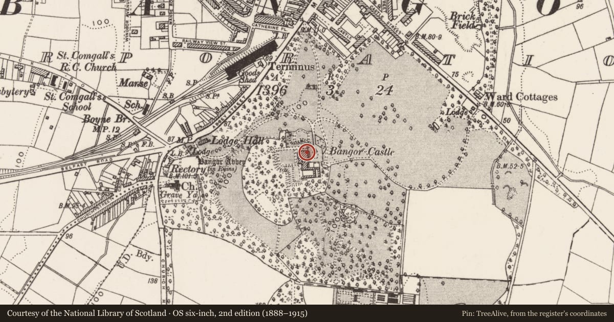 Ordnance Survey six-inch map, 2nd edition (1888–1915) covering the location of Town Hall, Corporation, Ards and North Down, with a pin at the register's coordinates