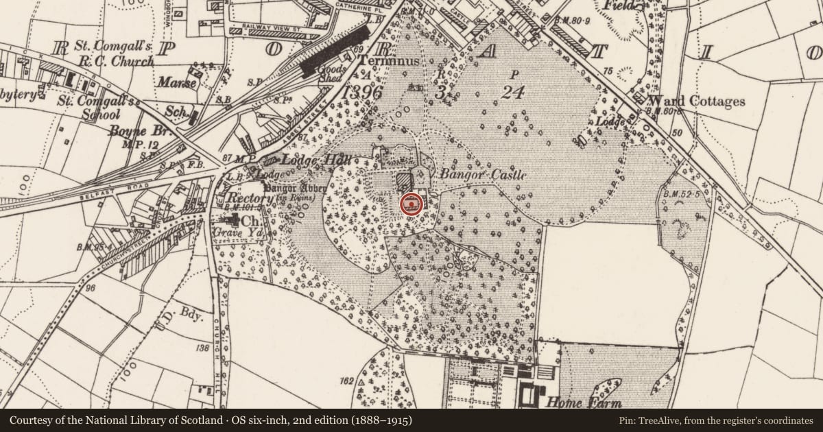 Ordnance Survey six-inch map, 2nd edition (1888–1915) covering the location of Local Heritage and Visitor's Centre, Corporation, Ards and North Down, with a pin at the register's coordinates
