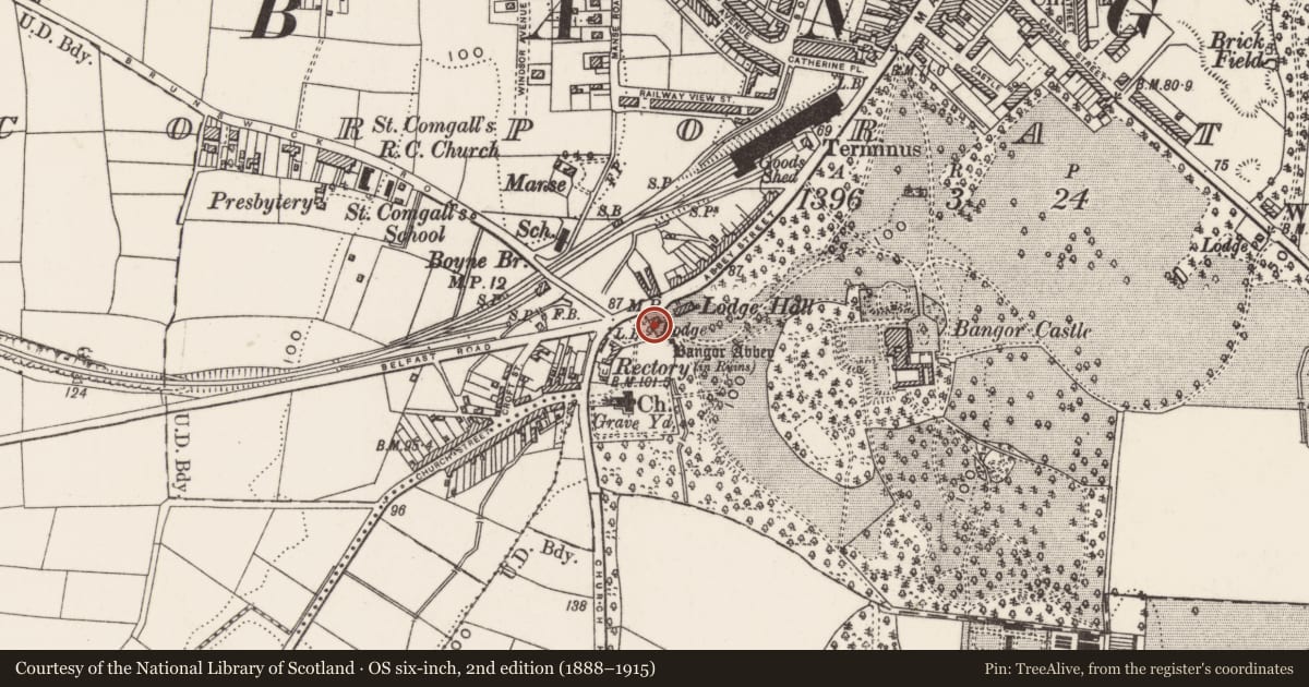 Ordnance Survey six-inch map, 2nd edition (1888–1915) covering the location of Gate Lodge, Corporation, Ards and North Down, with a pin at the register's coordinates