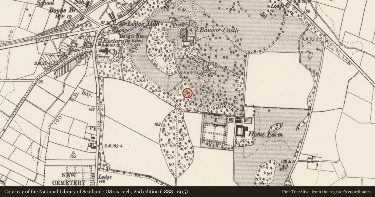 Ordnance Survey six-inch map, 2nd edition (1888–1915) covering the location of Burial Ground, Ards and North Down, with a pin at the register's coordinates