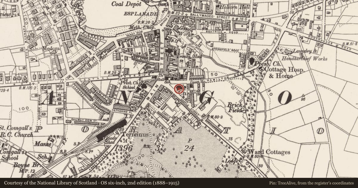 Ordnance Survey six-inch map, 2nd edition (1888–1915) covering the location of St Comgall's Parish Church of Ireland, Coroporation, Ards and North Down, with a pin at the register's coordinates