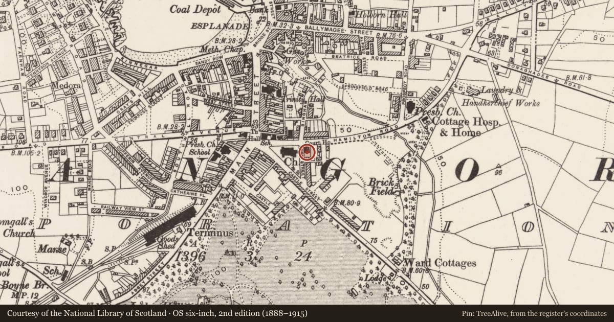 Ordnance Survey six-inch map, 2nd edition (1888–1915) covering the location of Masonic Hall, Corporation, Ards and North Down, with a pin at the register's coordinates