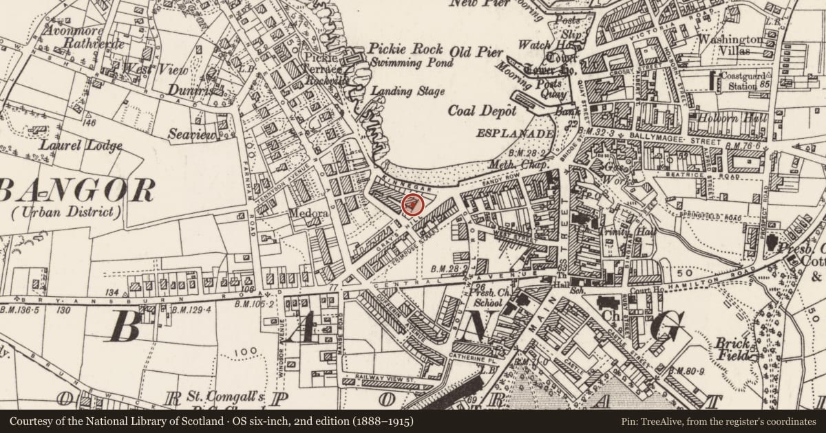 Ordnance Survey six-inch map, 2nd edition (1888–1915) covering the location of 47 Queen'S Parade, Ards and North Down, with a pin at the register's coordinates