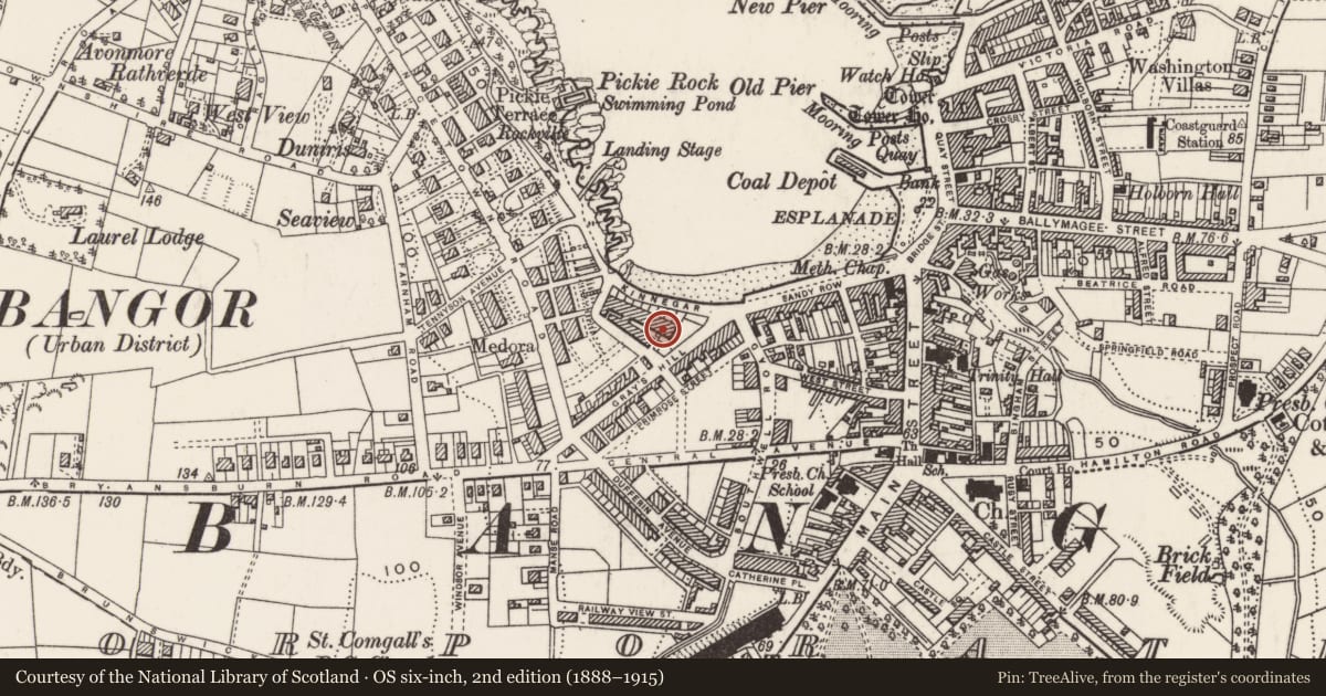 Ordnance Survey six-inch map, 2nd edition (1888–1915) covering the location of 49 Queen'S Parade, Ards and North Down, with a pin at the register's coordinates