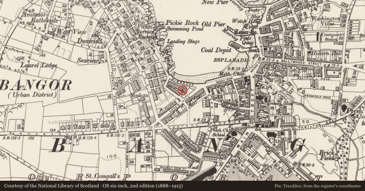 Ordnance Survey six-inch map, 2nd edition (1888–1915) covering the location of 50 Queen'S Parade, Ards and North Down, with a pin at the register's coordinates