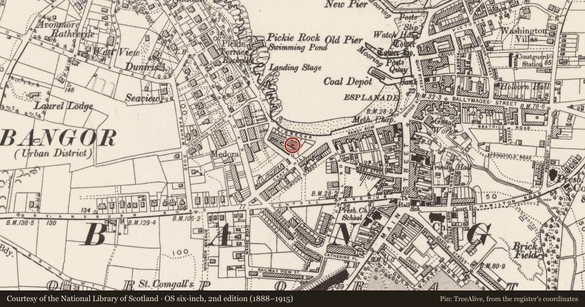 Ordnance Survey six-inch map, 2nd edition (1888–1915) covering the location of 51 Queen'S Parade, Ards and North Down, with a pin at the register's coordinates