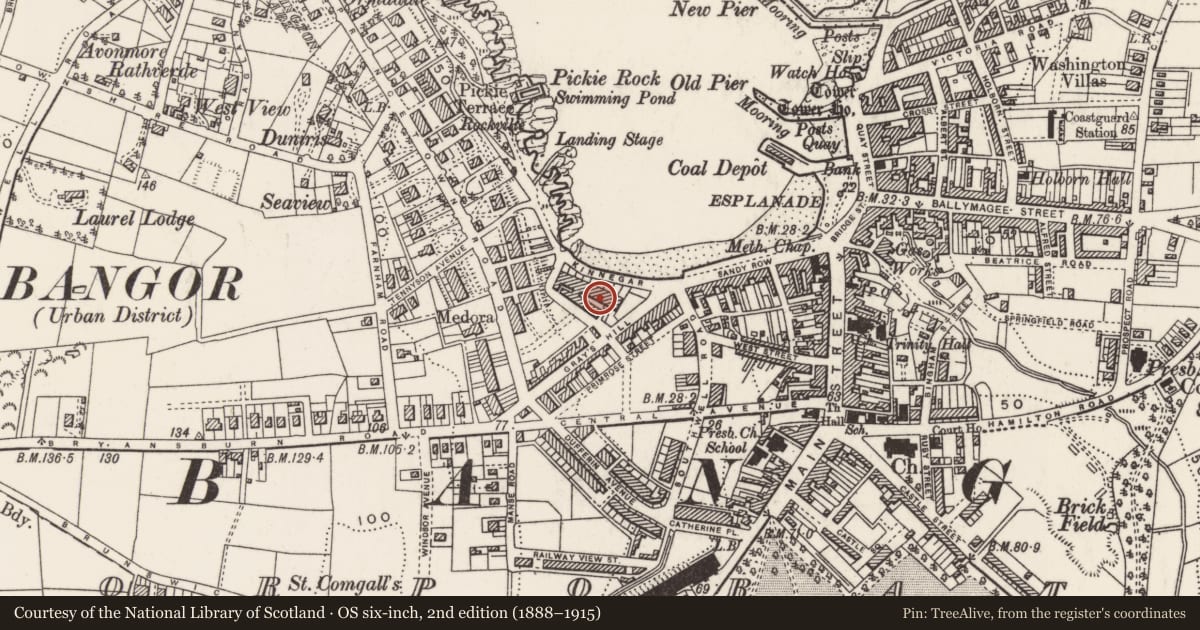 Ordnance Survey six-inch map, 2nd edition (1888–1915) covering the location of 52 Queen'S Parade, Ards and North Down, with a pin at the register's coordinates