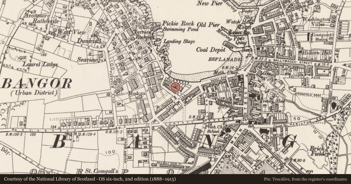 Ordnance Survey six-inch map, 2nd edition (1888–1915) covering the location of 53 Queen'S Parade, Ards and North Down, with a pin at the register's coordinates