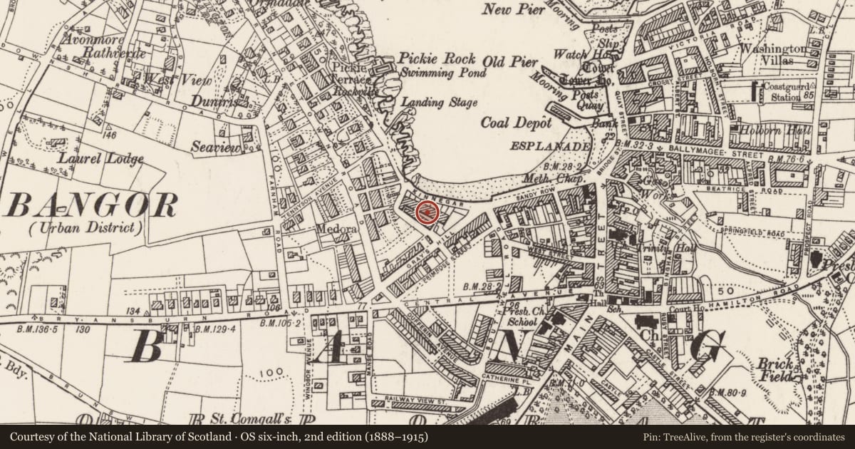 Ordnance Survey six-inch map, 2nd edition (1888–1915) covering the location of 54 Queen'S Parade, Ards and North Down, with a pin at the register's coordinates