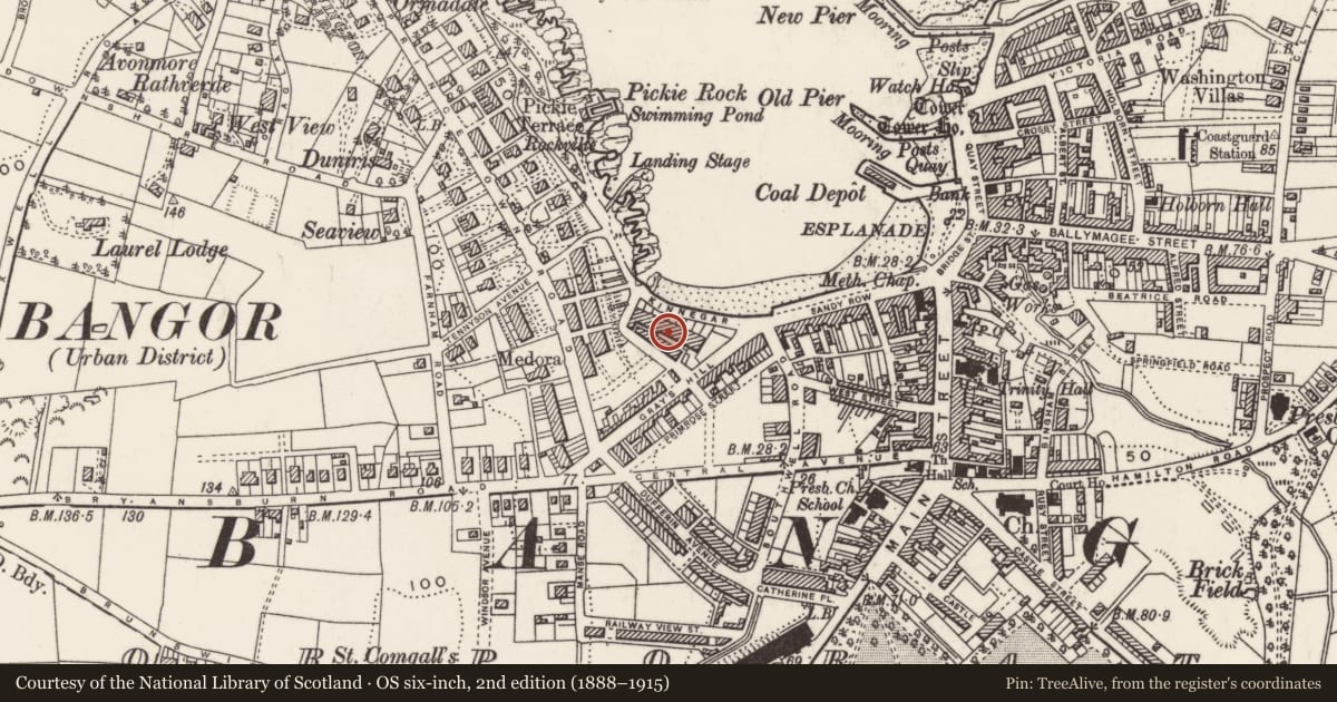 Ordnance Survey six-inch map, 2nd edition (1888–1915) covering the location of 55 Queen'S Parade, Ards and North Down, with a pin at the register's coordinates