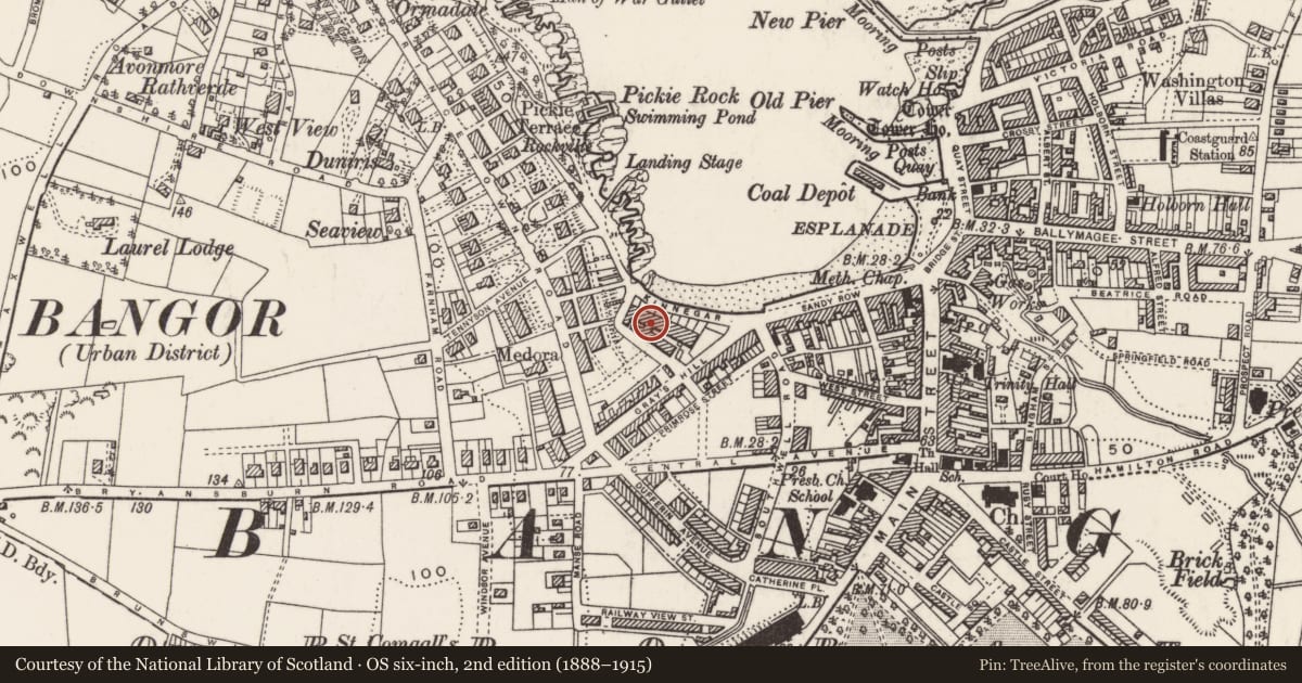 Ordnance Survey six-inch map, 2nd edition (1888–1915) covering the location of 58 Queens Parade, Corporation, Ards and North Down, with a pin at the register's coordinates