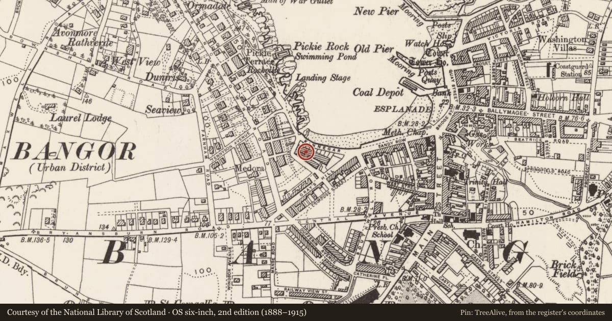 Ordnance Survey six-inch map, 2nd edition (1888–1915) covering the location of 59 Queens Parade, Corporation, Ards and North Down, with a pin at the register's coordinates