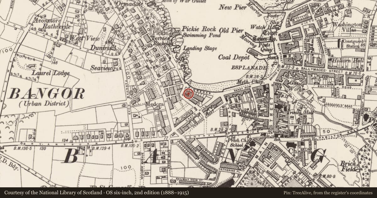 Ordnance Survey six-inch map, 2nd edition (1888–1915) covering the location of 60 Queens Parade, Corporation, Ards and North Down, with a pin at the register's coordinates