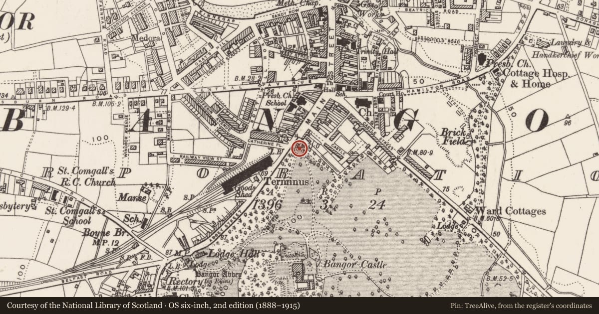 Ordnance Survey six-inch map, 2nd edition (1888–1915) covering the location of Bangor Post Office, Corporation, Ards and North Down, with a pin at the register's coordinates