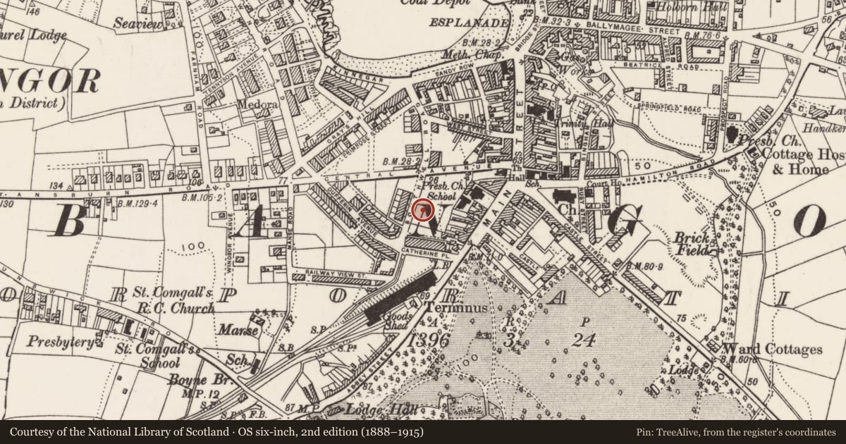 Ordnance Survey six-inch map, 2nd edition (1888–1915) covering the location of Bangor Telephone Exchange, Corporation, Ards and North Down, with a pin at the register's coordinates