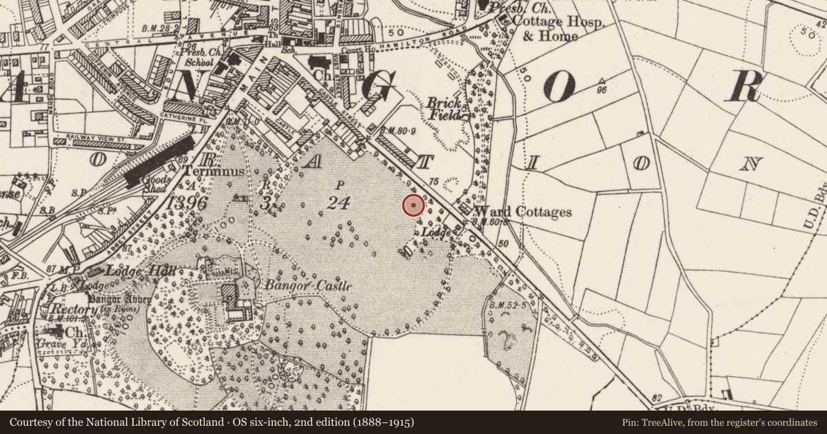 Ordnance Survey six-inch map, 2nd edition (1888–1915) covering the location of Former nurses' homes, Corporation of Bangor, Ards and North Down, with a pin at the register's coordinates
