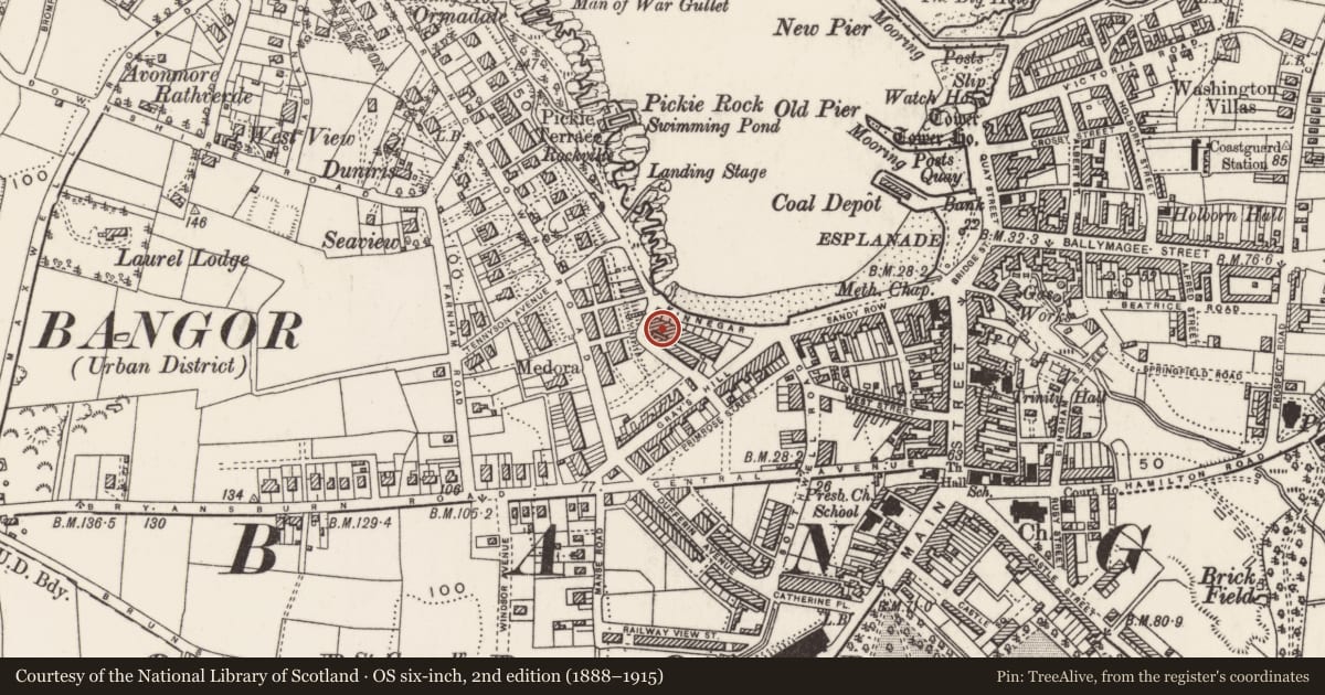 Ordnance Survey six-inch map, 2nd edition (1888–1915) covering the location of 61 Queens Parade, Corporation, Ards and North Down, with a pin at the register's coordinates