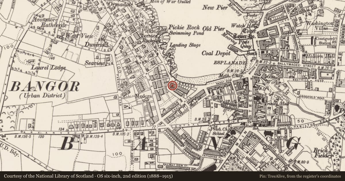 Ordnance Survey six-inch map, 2nd edition (1888–1915) covering the location of 62 Queens Parade, Corporation, Ards and North Down, with a pin at the register's coordinates