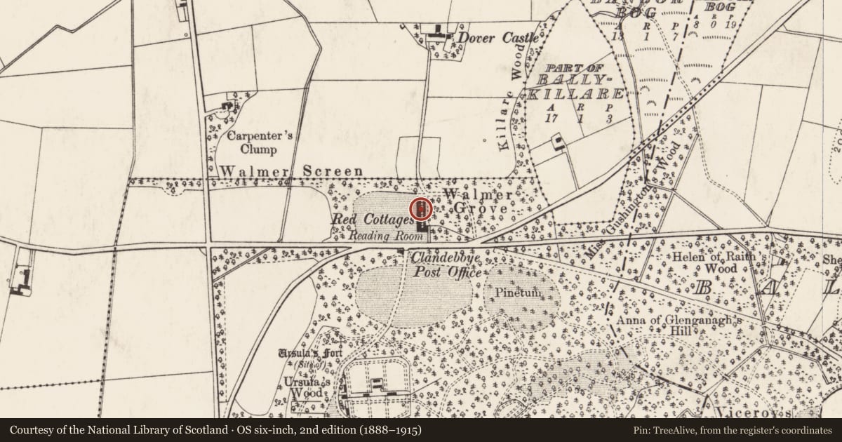 Ordnance Survey six-inch map, 2nd edition (1888–1915) covering the location of 10 Clandeboye Cottages, ballyleidy, Ards and North Down, with a pin at the register's coordinates