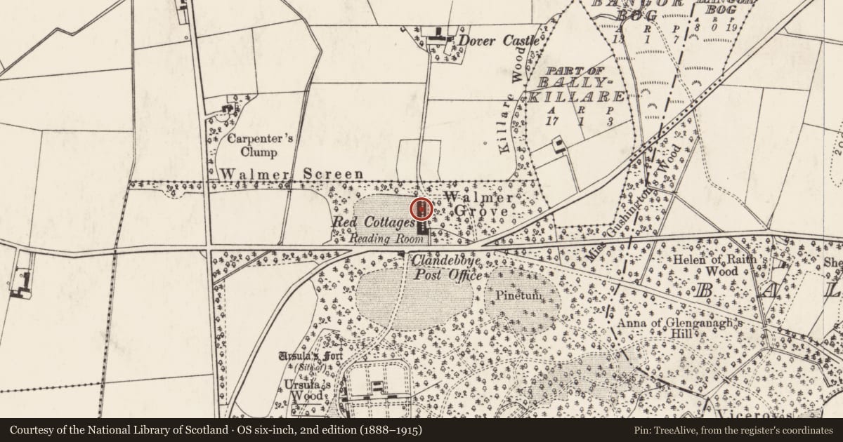 Ordnance Survey six-inch map, 2nd edition (1888–1915) covering the location of 11 Clandeboye Cottages, Ballyleidy, Ards and North Down, with a pin at the register's coordinates
