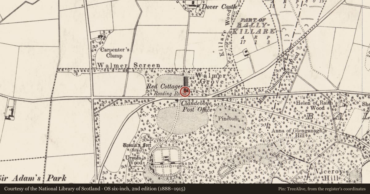 Ordnance Survey six-inch map, 2nd edition (1888–1915) covering the location of Reading Room, Ballyleidy, Ards and North Down, with a pin at the register's coordinates