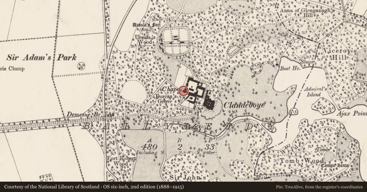 Ordnance Survey six-inch map, 2nd edition (1888–1915) covering the location of Private Chapel, Ballyleidy, Ards and North Down, with a pin at the register's coordinates