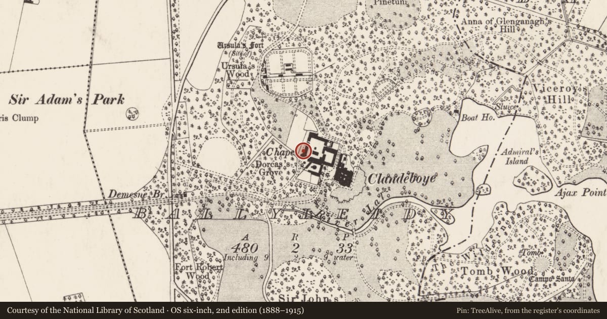 Ordnance Survey six-inch map, 2nd edition (1888–1915) covering the location of Ava Gallery, Ballyleidy, Ards and North Down, with a pin at the register's coordinates