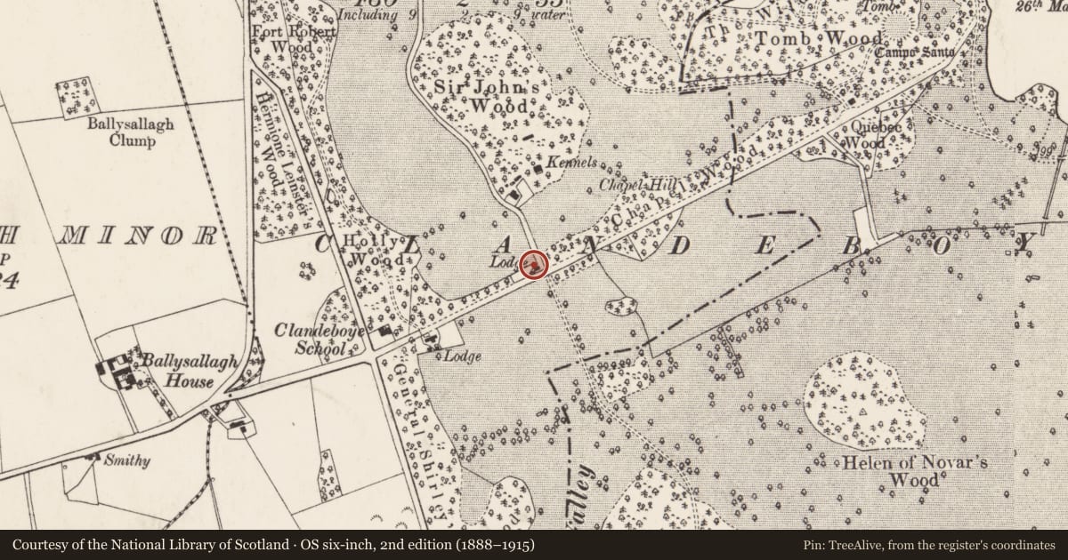 Ordnance Survey six-inch map, 2nd edition (1888–1915) covering the location of Lodge, Ards and North Down, with a pin at the register's coordinates