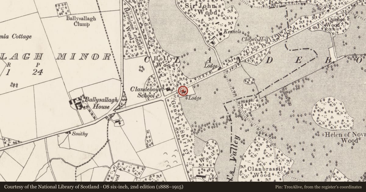 Ordnance Survey six-inch map, 2nd edition (1888–1915) covering the location of Lodge, Ards and North Down, with a pin at the register's coordinates