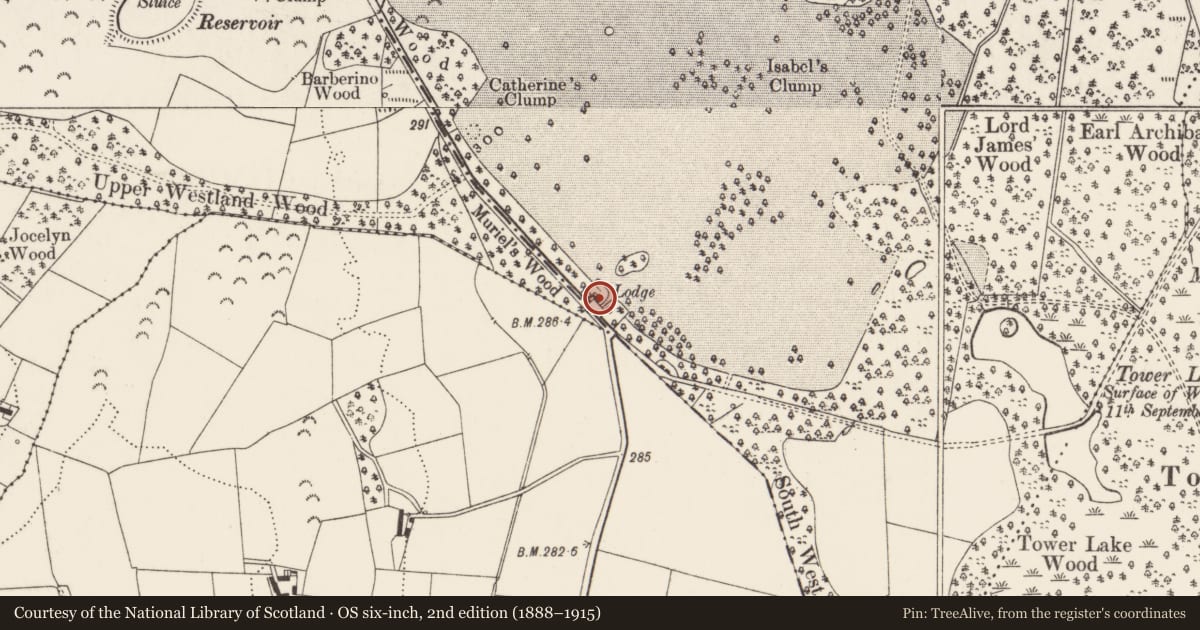 Ordnance Survey six-inch map, 2nd edition (1888–1915) covering the location of Gate Lodge, Ards and North Down, with a pin at the register's coordinates