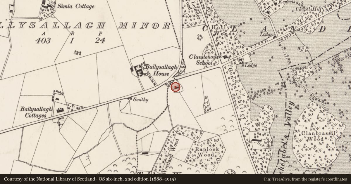 Ordnance Survey six-inch map, 2nd edition (1888–1915) covering the location of Riverside, Ards and North Down, with a pin at the register's coordinates