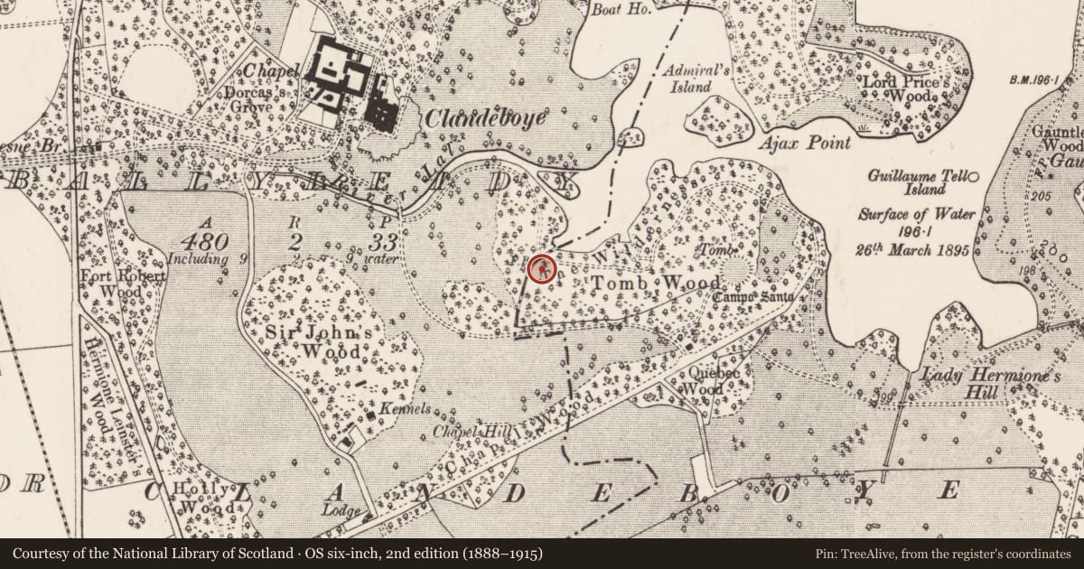 Ordnance Survey six-inch map, 2nd edition (1888–1915) covering the location of MEMORIAL, Ards and North Down, with a pin at the register's coordinates