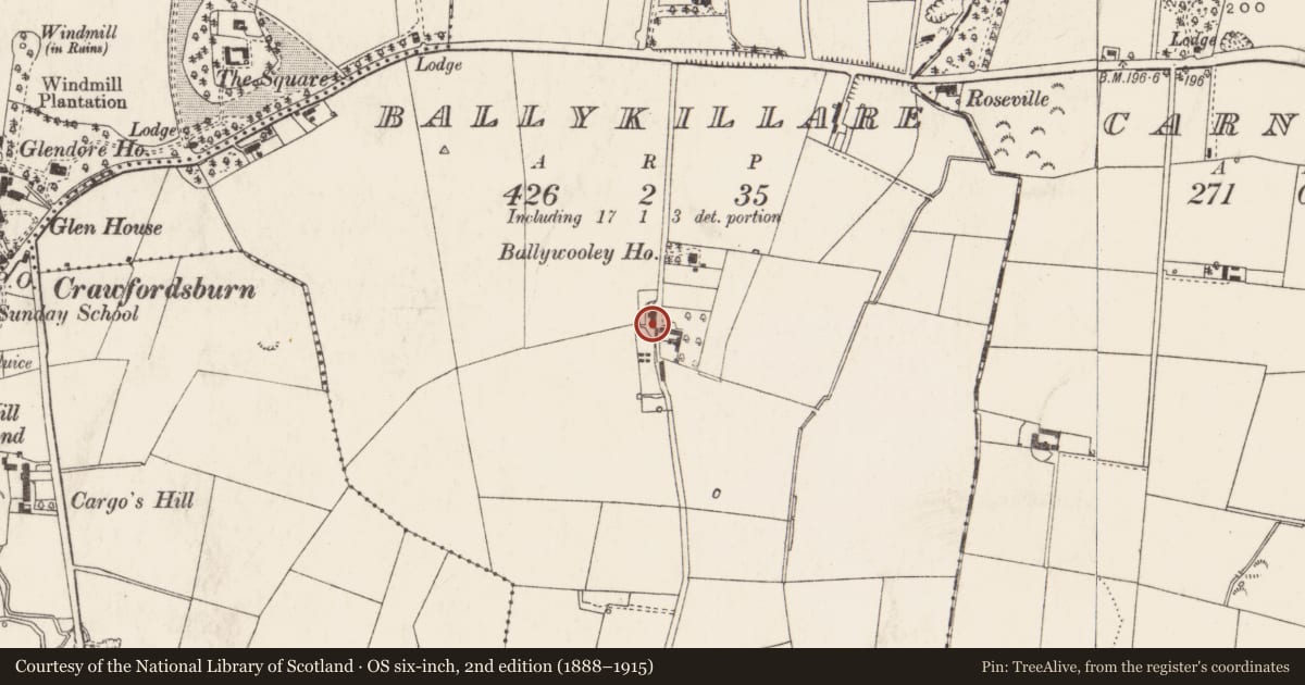 Ordnance Survey six-inch map, 2nd edition (1888–1915) covering the location of Ballywooley Place, Ards and North Down, with a pin at the register's coordinates