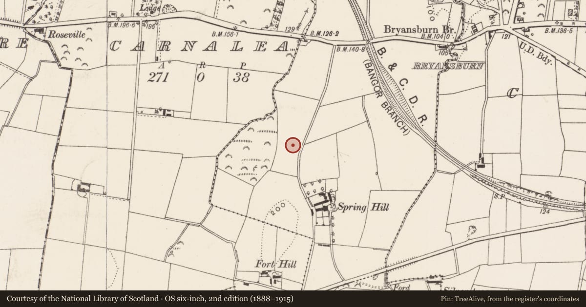 Ordnance Survey six-inch map, 2nd edition (1888–1915) covering the location of 52 Springhill Road, Ballyvarnet, Ards and North Down, with a pin at the register's coordinates