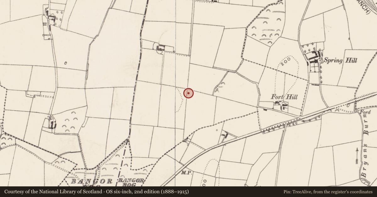 Ordnance Survey six-inch map, 2nd edition (1888–1915) covering the location of Stench Pipe, Carnalea, with a pin at the register's coordinates