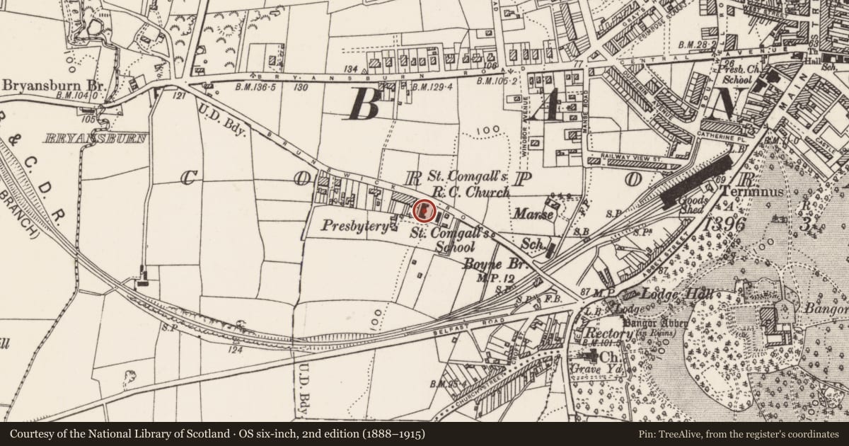 Ordnance Survey six-inch map, 2nd edition (1888–1915) covering the location of St Comgall's Roman Catholic Church, Corporation, Ards and North Down, with a pin at the register's coordinates