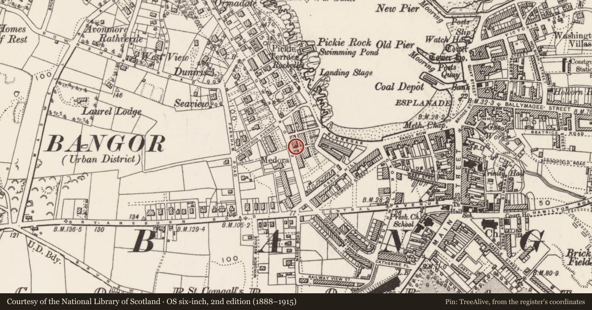 Ordnance Survey six-inch map, 2nd edition (1888–1915) covering the location of 30-40 Princetown Road, Ards and North Down, with a pin at the register's coordinates