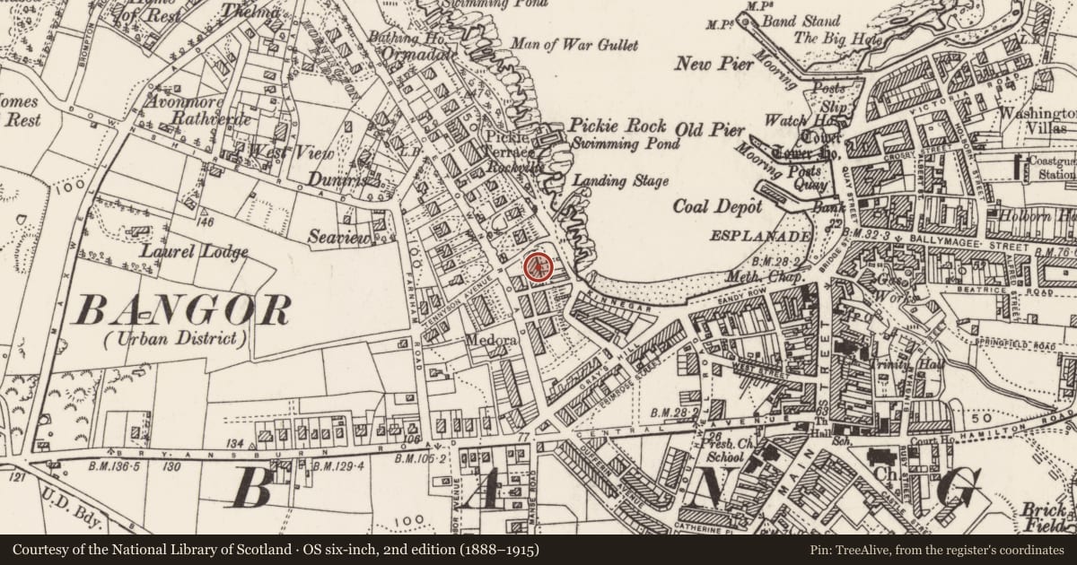 Ordnance Survey six-inch map, 2nd edition (1888–1915) covering the location of 7 Mount Pleasant, Corporation, Ards and North Down, with a pin at the register's coordinates