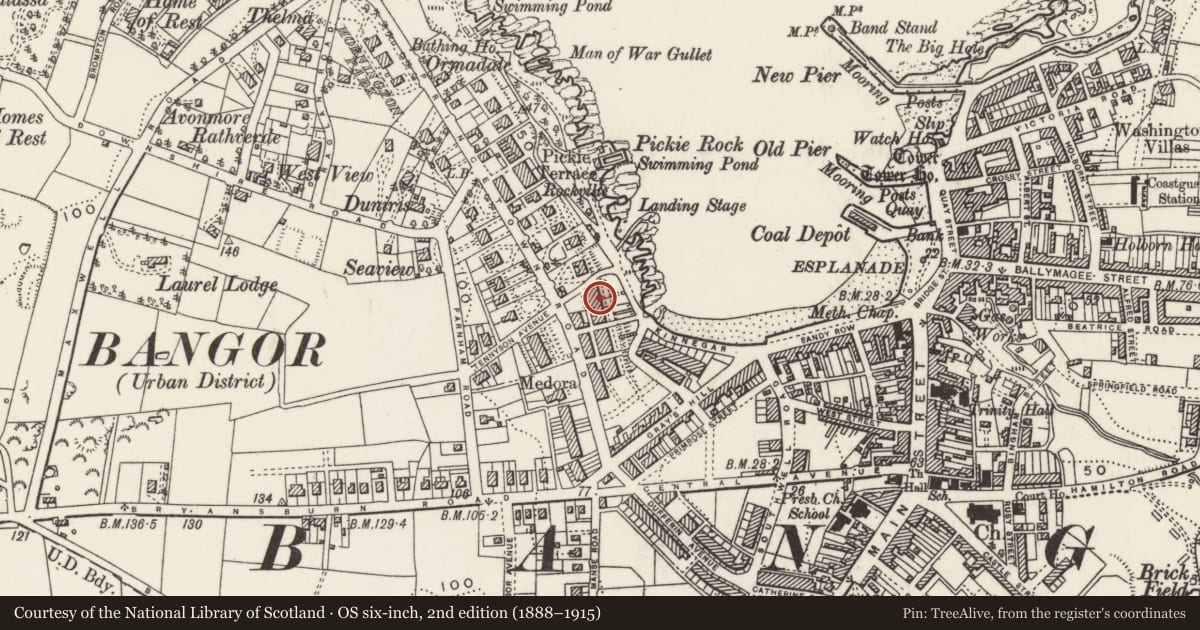 Ordnance Survey six-inch map, 2nd edition (1888–1915) covering the location of 8 Mount Pleasant, Corporation, Ards and North Down, with a pin at the register's coordinates