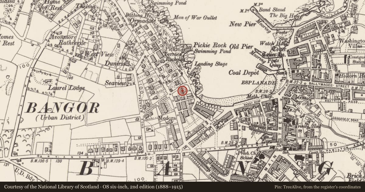 Ordnance Survey six-inch map, 2nd edition (1888–1915) covering the location of 9 Mount Pleasant, Corporation, Ards and North Down, with a pin at the register's coordinates