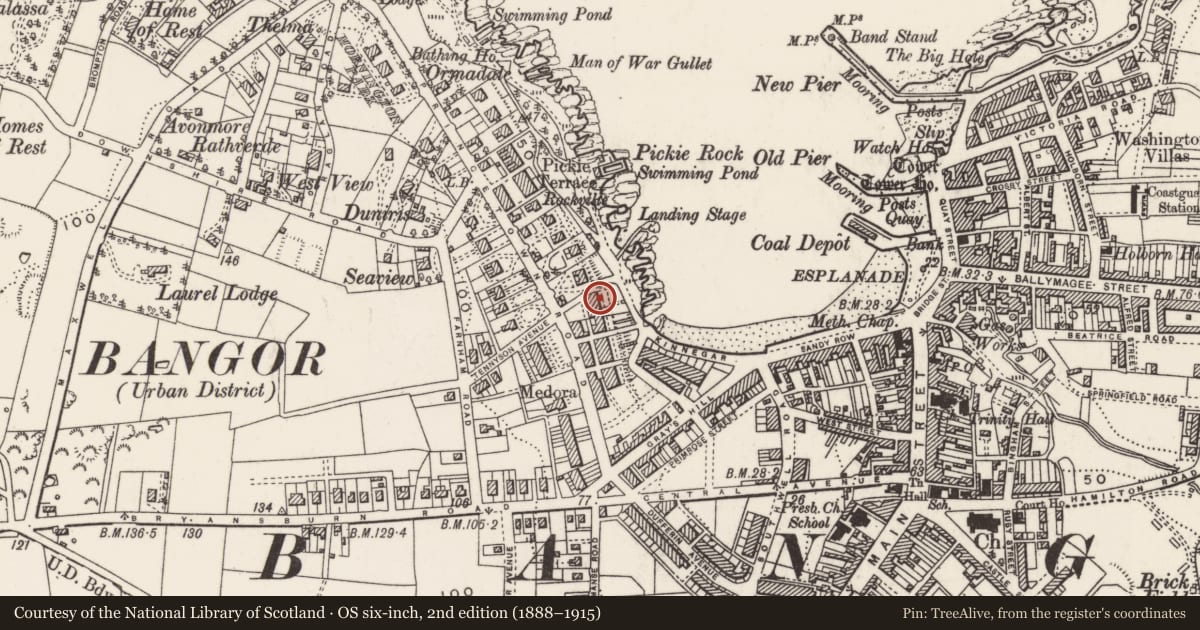 Ordnance Survey six-inch map, 2nd edition (1888–1915) covering the location of 10 Mount Pleasant, Corporation, Ards and North Down, with a pin at the register's coordinates