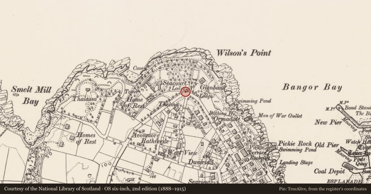 Ordnance Survey six-inch map, 2nd edition (1888–1915) covering the location of Gate Screen, Corporation, Ards and North Down, with a pin at the register's coordinates