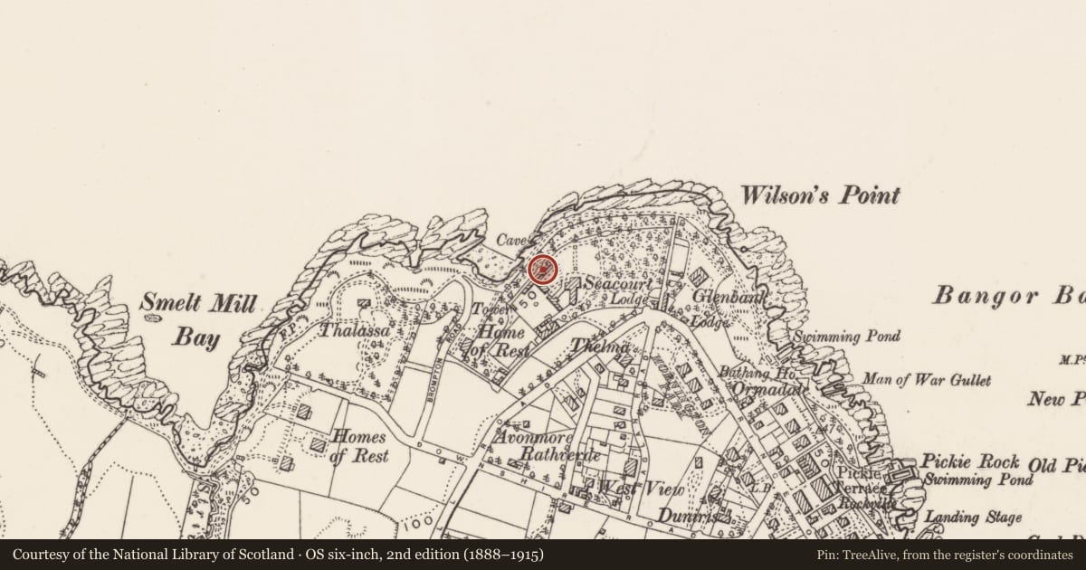 Ordnance Survey six-inch map, 2nd edition (1888–1915) covering the location of Boundary Wall, Corporation, Ards and North Down, with a pin at the register's coordinates