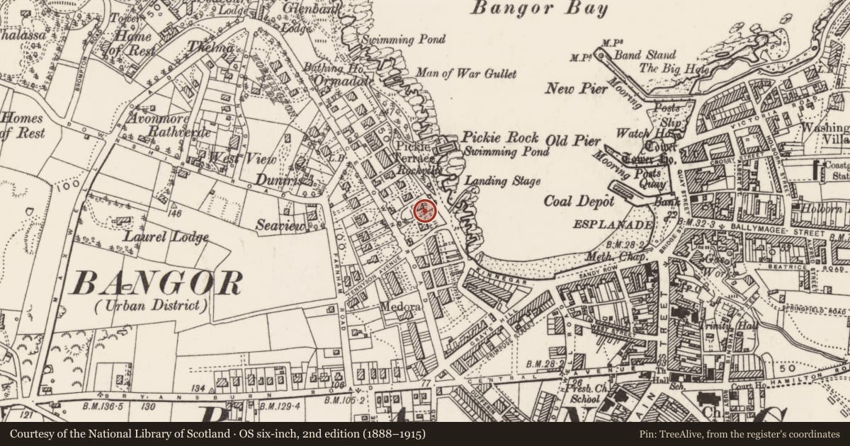Ordnance Survey six-inch map, 2nd edition (1888–1915) covering the location of 60 Princetown Road, Corporation, Ards and North Down, with a pin at the register's coordinates