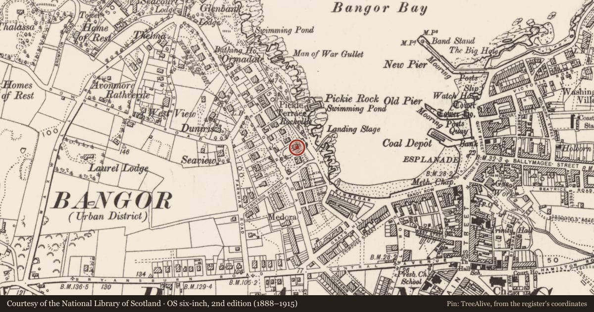 Ordnance Survey six-inch map, 2nd edition (1888–1915) covering the location of 62 Princetown Road, Corporation, Ards and North Down, with a pin at the register's coordinates