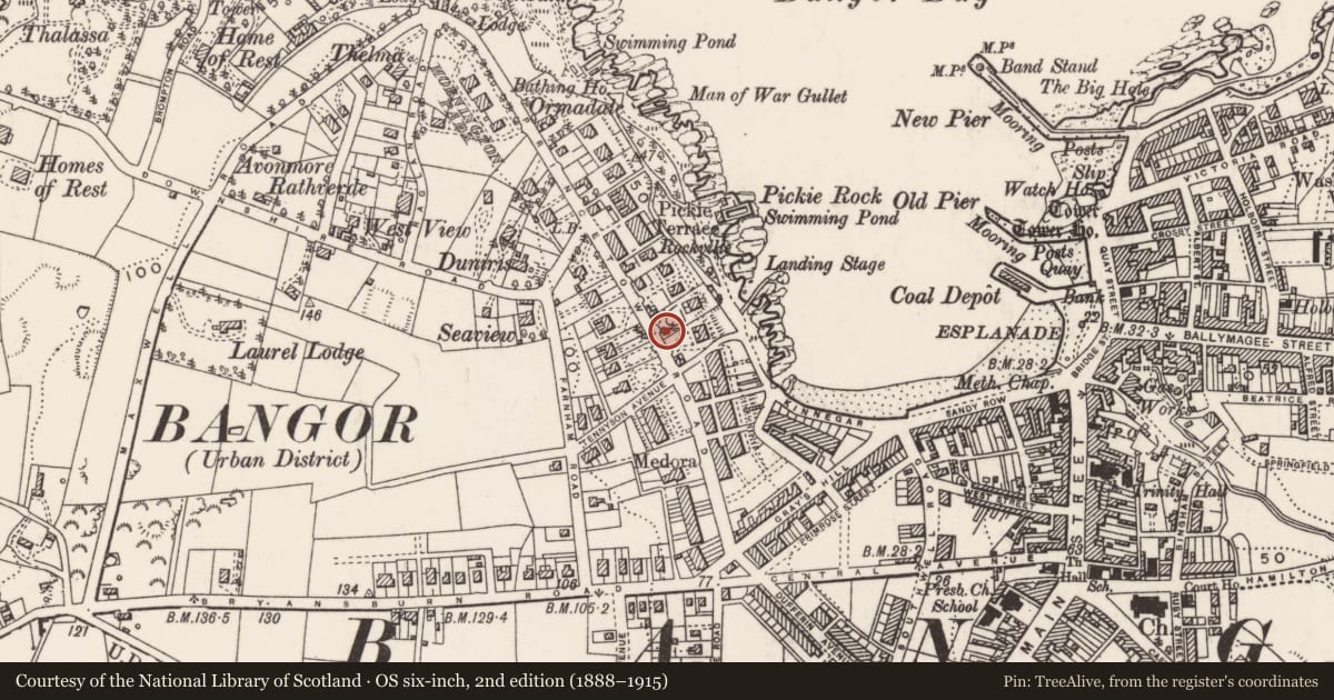 Ordnance Survey six-inch map, 2nd edition (1888–1915) covering the location of Gate Screen, Corporation, Ards and North Down, with a pin at the register's coordinates