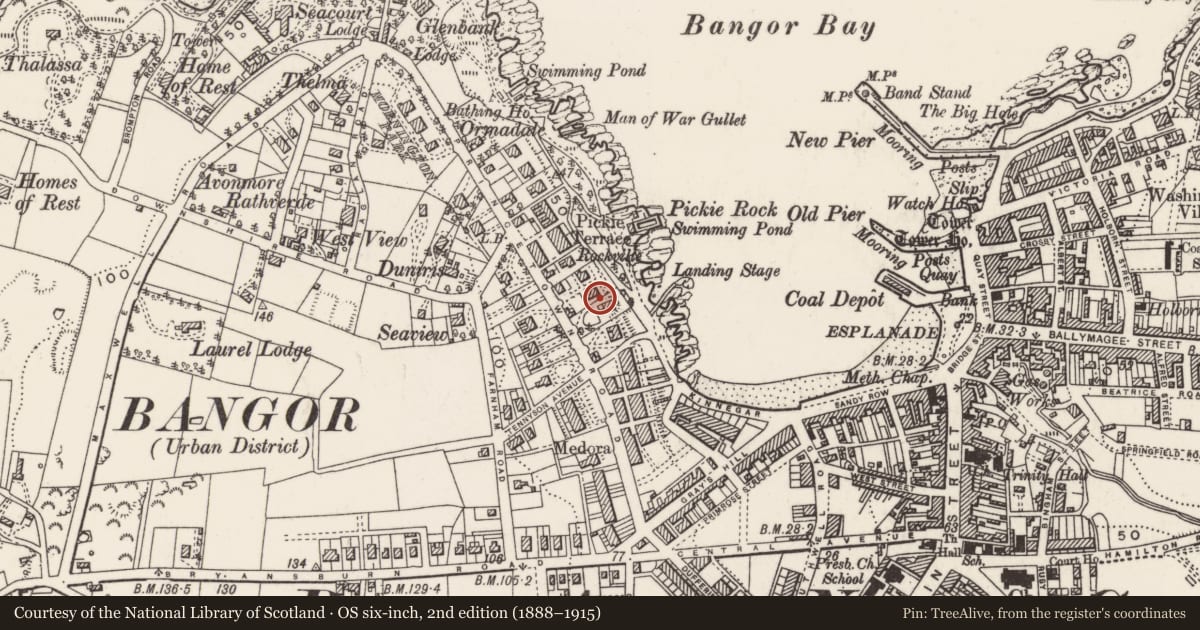 Ordnance Survey six-inch map, 2nd edition (1888–1915) covering the location of Princetown House, Ards and North Down, with a pin at the register's coordinates